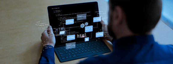 Web Development