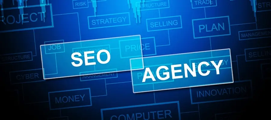 SEO Agency Partner