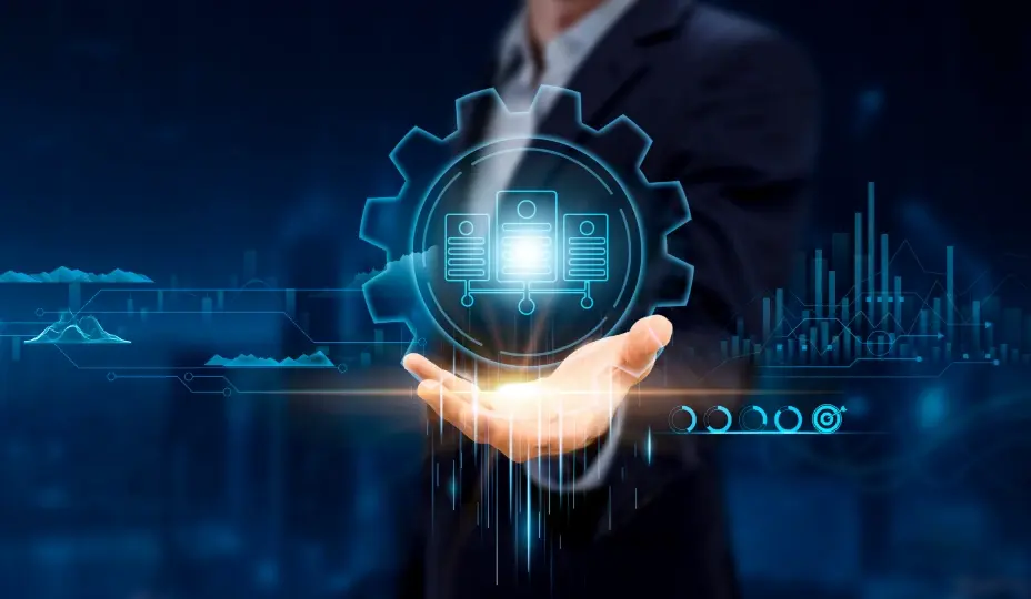 Structured Data & Entity Optimisation